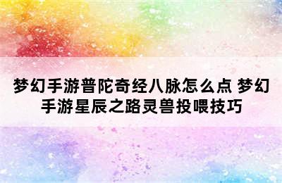 梦幻手游普陀奇经八脉怎么点 梦幻手游星辰之路灵兽投喂技巧